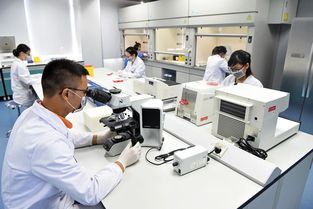 廣東省城市建設技師學院生物技術研發 推動城市可持續發展的創新力量