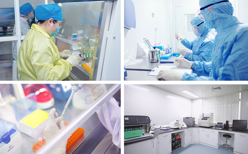 江蘇默金生物工程技術 創新驅動，引領生物技術研發前沿