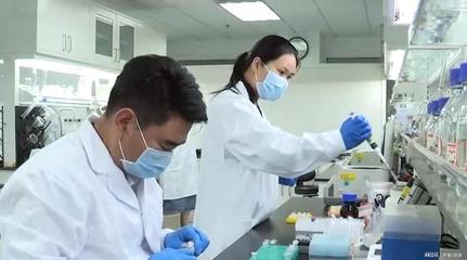 人工淀粉合成技術 重塑世界糧食格局的生物技術突破