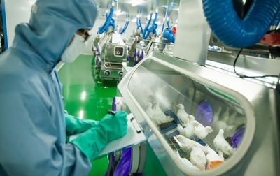 新舊動能轉換新引擎 市北生物技術研發中心投入使用，科技創新集聚效應初顯