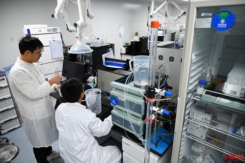 成都生物技術企業獲3億元C輪融資，加速創新藥物研發新篇章